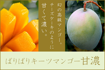 ぱりぱりマンゴー甘濃 特別栽培