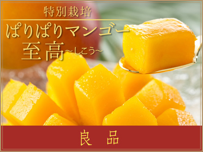 ぱりぱりマンゴー至高『良品』特別栽培