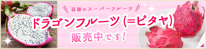 ドラゴンフルーツ販売中！