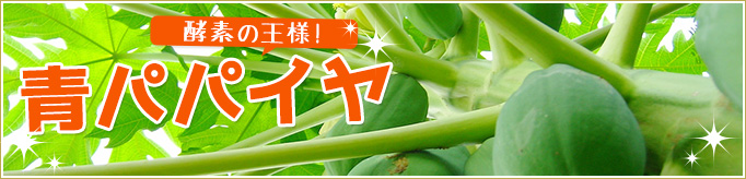 青パパイヤ