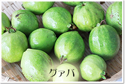 グァバ