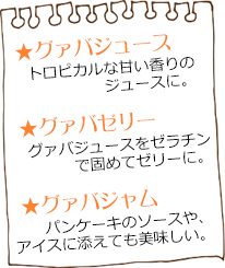 グァバメニュー