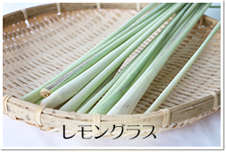 レモングラス