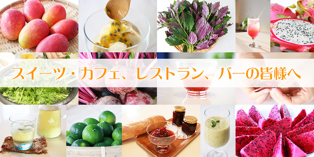 業者様へ業務用お取扱い紹介