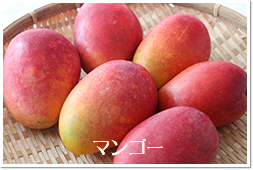 マンゴー