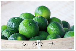 シークワーサー