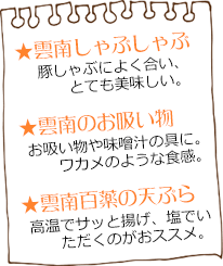 雲南百薬メニュー