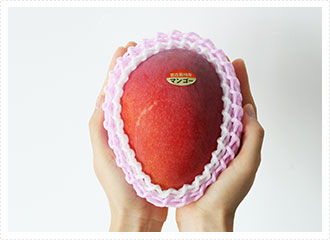 マンゴー大玉サイズ