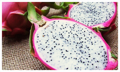 完全無農薬栽培　ドラゴンフルーツ（ピタヤ）