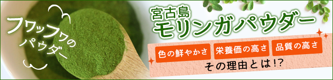 国産（沖縄・宮古島産）の無添加無農薬　モリンガパウダー